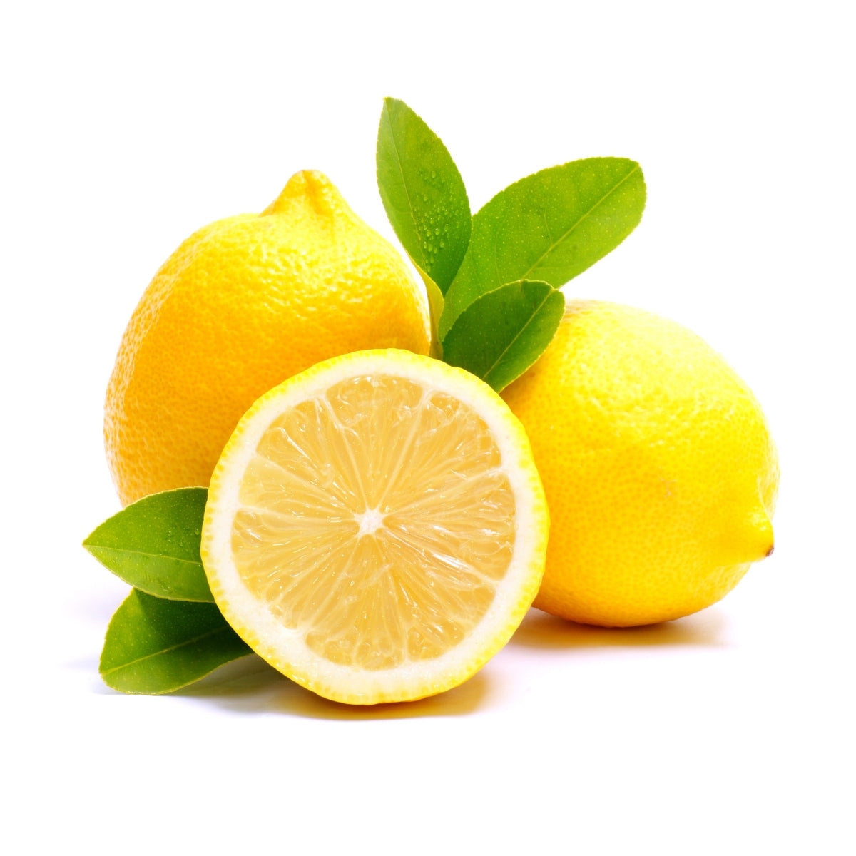 Femminello Siracusano Lemon Plant Live Nimbu Tree Kagzi Lemon Citrus Limon Fruit Plant