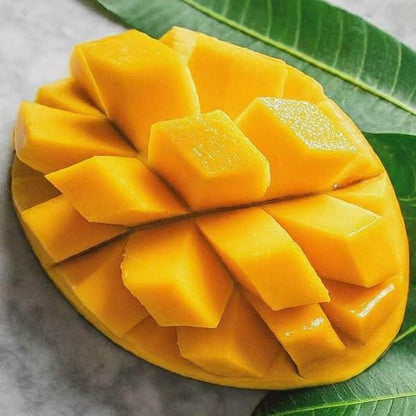 Fernandin Mango Aam Grafted Healthy Fruit Plant