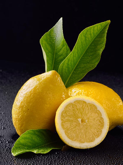 Fino Lemon Plant Live Nimbu Tree Kagzi Lemon Citrus Limon Fruit Plant
