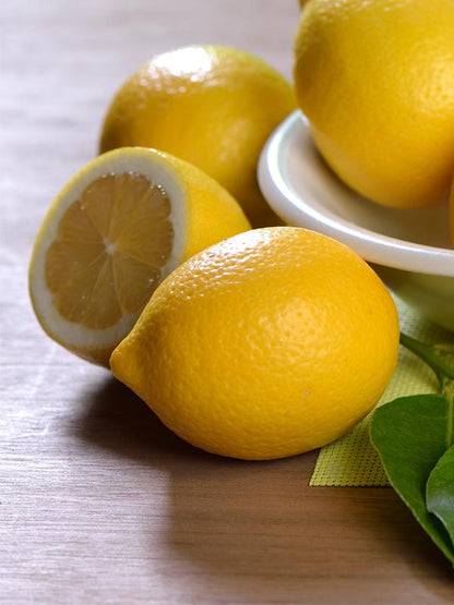 Fino Lemon Plant Live Nimbu Tree Kagzi Lemon Citrus Limon Fruit Plant