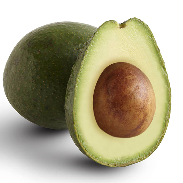 GEM Avocado Grafted Healthy Fruit Plant