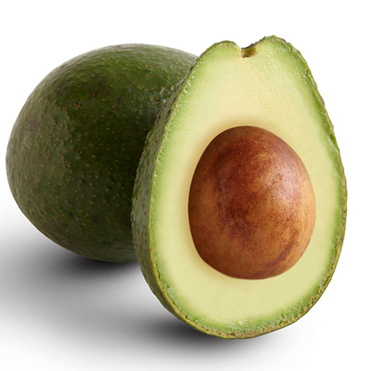 GEM Avocado Grafted Healthy Fruit Plant
