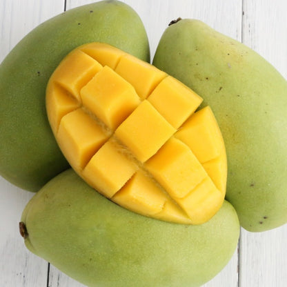 Gaew Mango Aam Grafted Healthy Fruit Plant