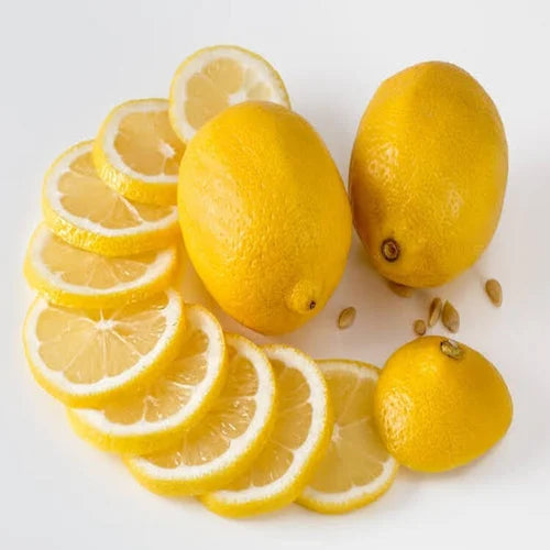 Galgal (Hill Lemon) Plant Live Nimbu Tree Kagzi Lemon Citrus Limon Fruit Plant