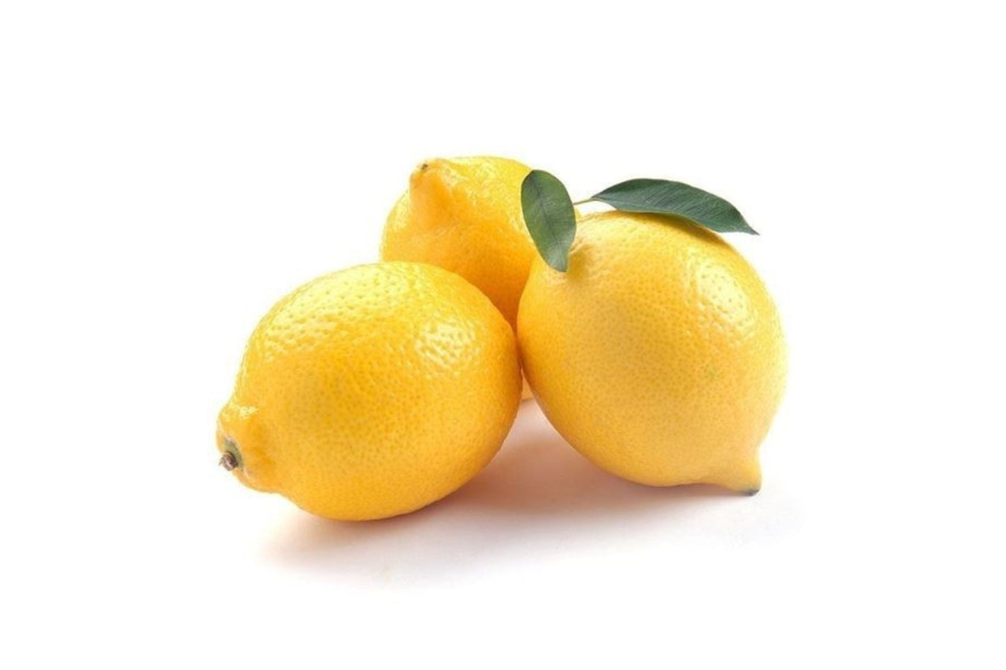 Galgal (Hill Lemon) Plant Live Nimbu Tree Kagzi Lemon Citrus Limon Fruit Plant