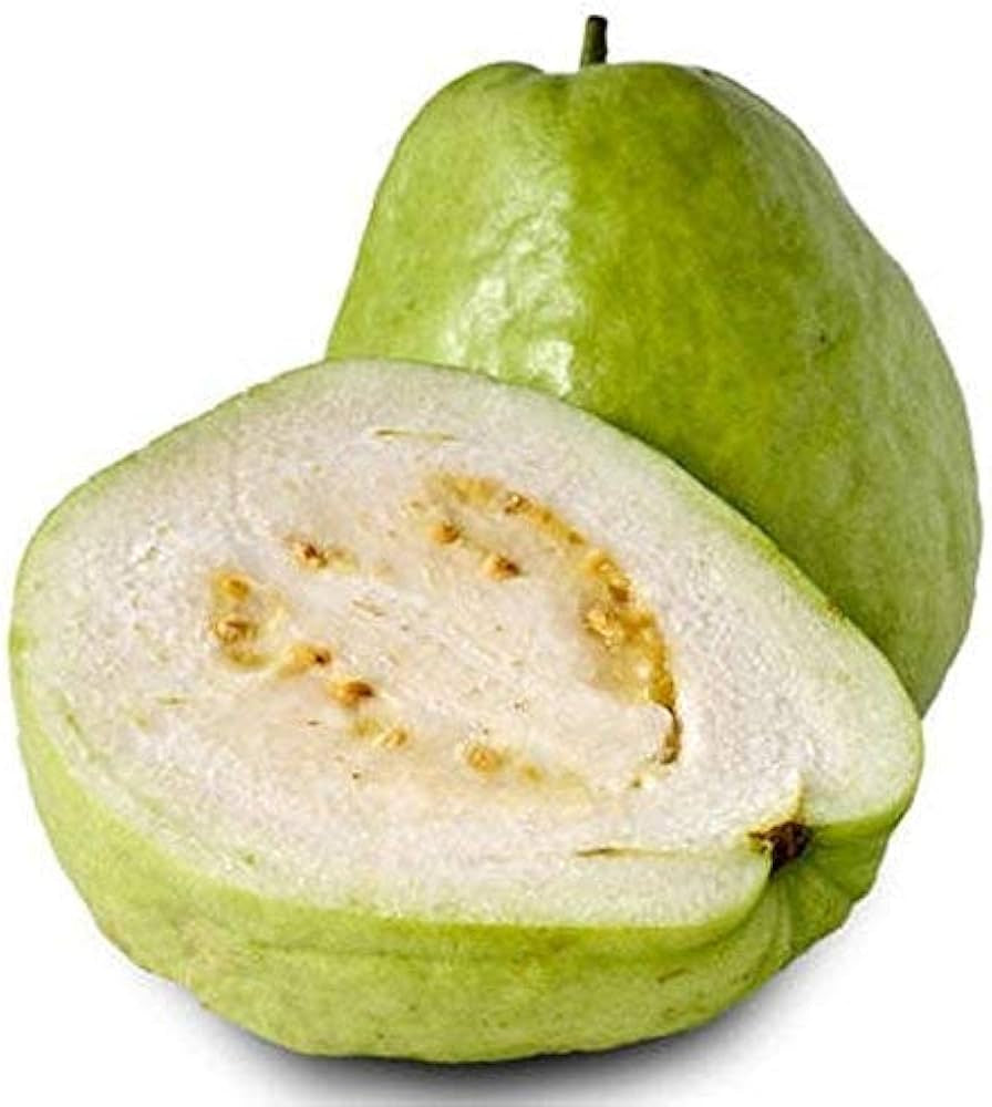 Ganga White Guava Air Layered Healthy Fruit Plant