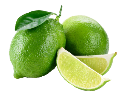 Assam Lemon Plant Live Nimbu Tree Kagzi Lemon Citrus Limon Fruit Plant