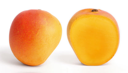 Golden Lippens Mango Aam Grafted Healthy Fruit Plant