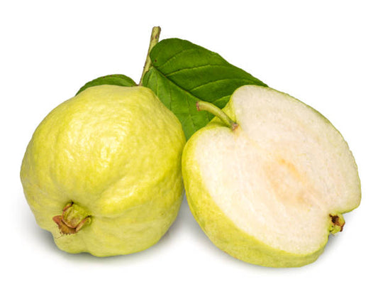 Golden Thai Guava Air Layered Healthy Fruit Plant