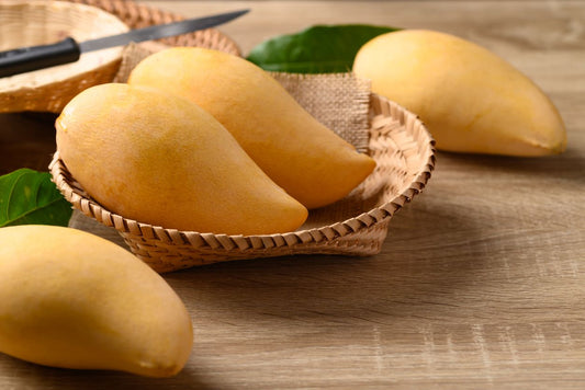 Golek Mango Aam Grafted Healthy Fruit Plant
