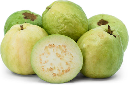 Granada White Guava Air Layered Healthy Fruit Plant