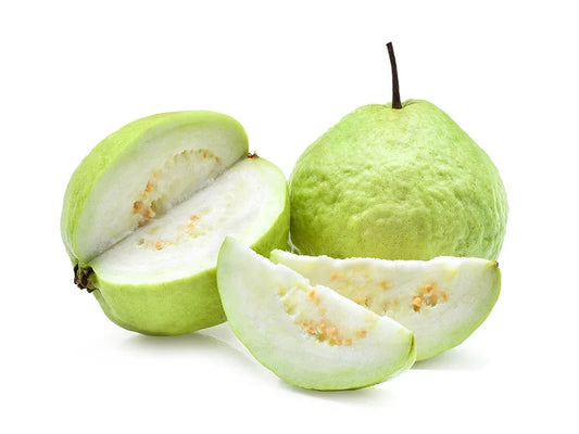 Guerrero Blanca Guava Air Layered Healthy Fruit Plant
