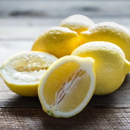 Gujarat Kagzi Lemon Plant Live Nimbu Tree Kagzi Lemon Citrus Limon Fruit Plant