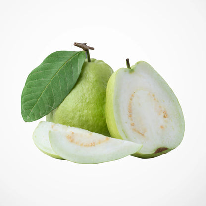 Guyana White Guava Air Layered Healthy Fruit Plant