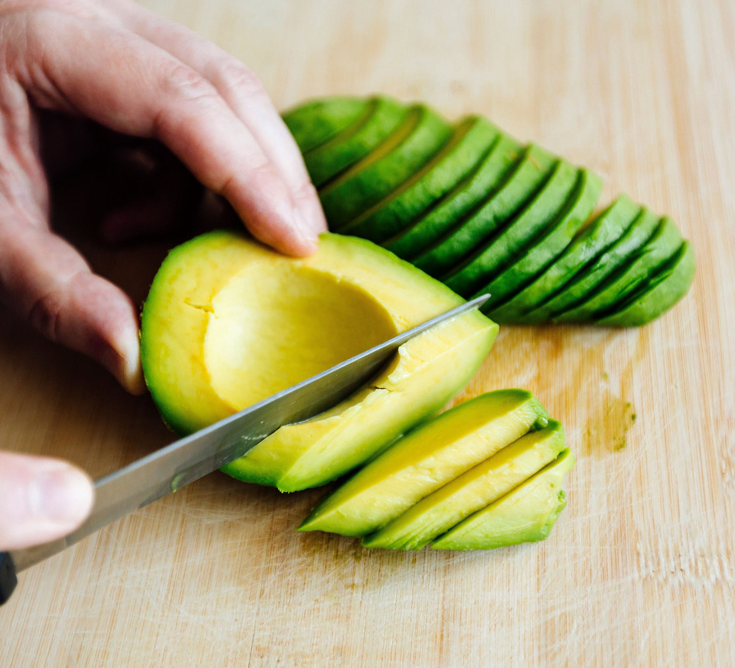 Gwen Avocado Grafted Healthy Fruit Plant