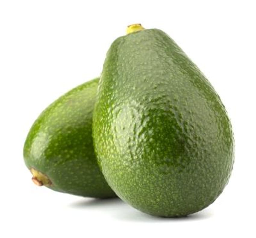 Gwen Avocado Grafted Healthy Fruit Plant