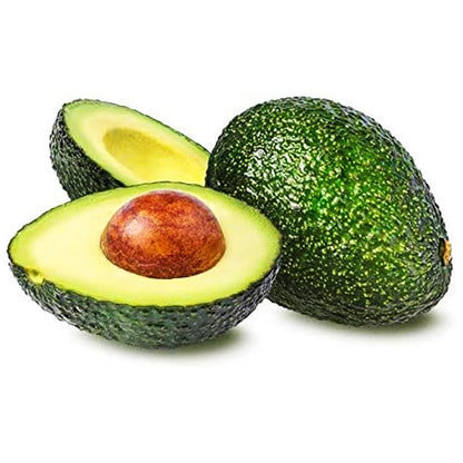 Hass (dominant global variety) Avocado Grafted Healthy Fruit Plant