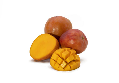 Hatcher Mango Aam Grafted Healthy Fruit Plant