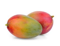 Heidi Mango Aam Grafted Healthy Fruit Plant