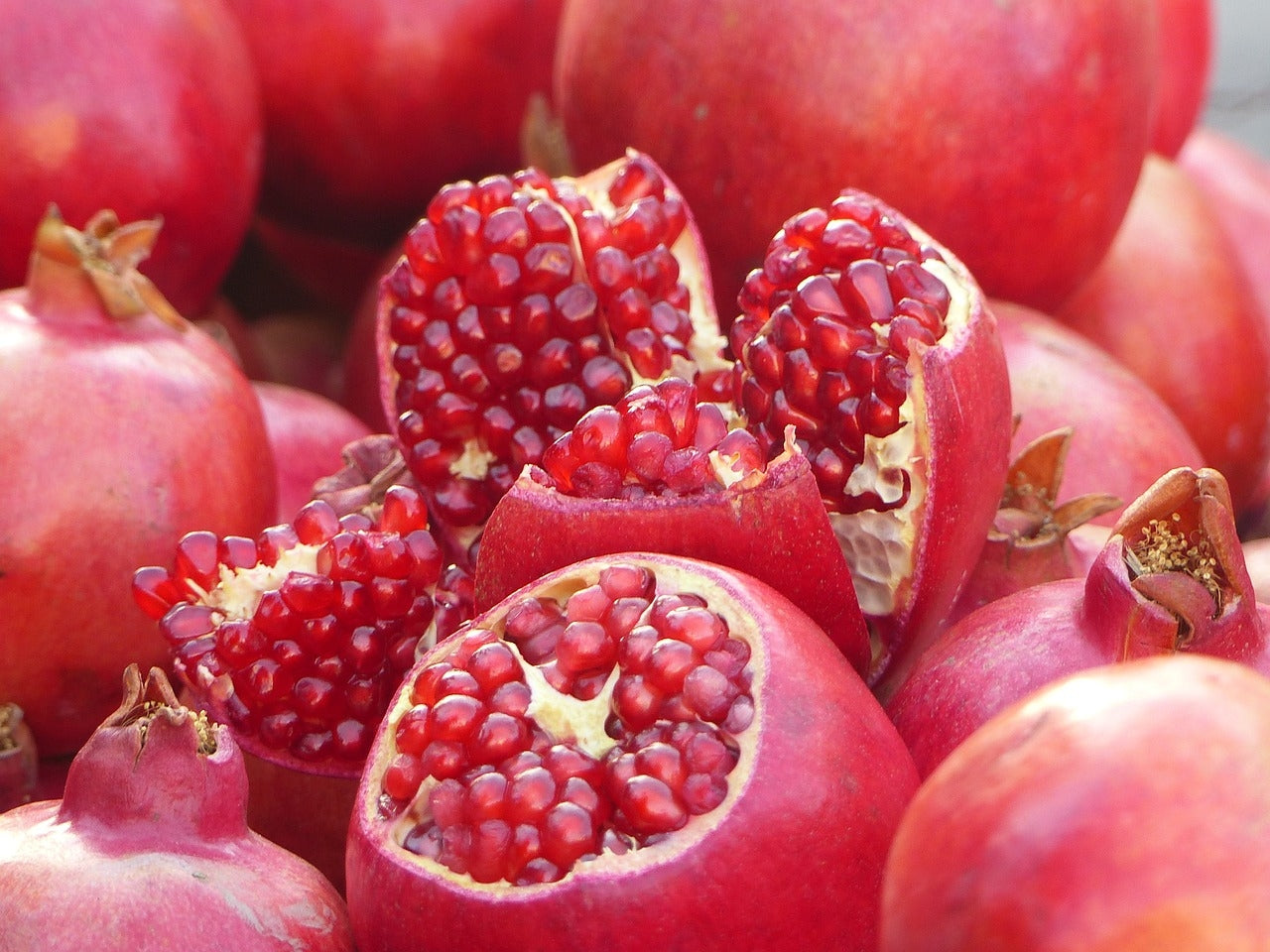 Hicaz Pomegranate Grafted Fruit Plant – High Yielding Sweet Juicy Anar Tree Variety