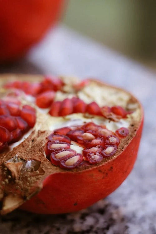 Hicaznar Pomegranate Grafted Fruit Plant – High Yielding Sweet Juicy Anar Tree Variety