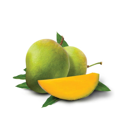 Himsagar Mango Aam Grafted Healthy Fruit Plant