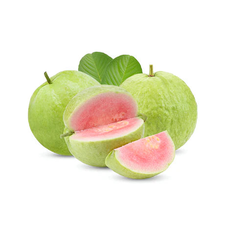 Honduras Pink Guava  Air Layered Healthy Fruit Plant