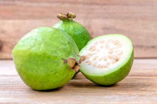 IAC-4 Guava Air Layered Healthy Fruit Plant