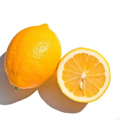 Improved Meyer Lemon Plant Live Nimbu Tree Kagzi Lemon Citrus Limon Fruit Plant