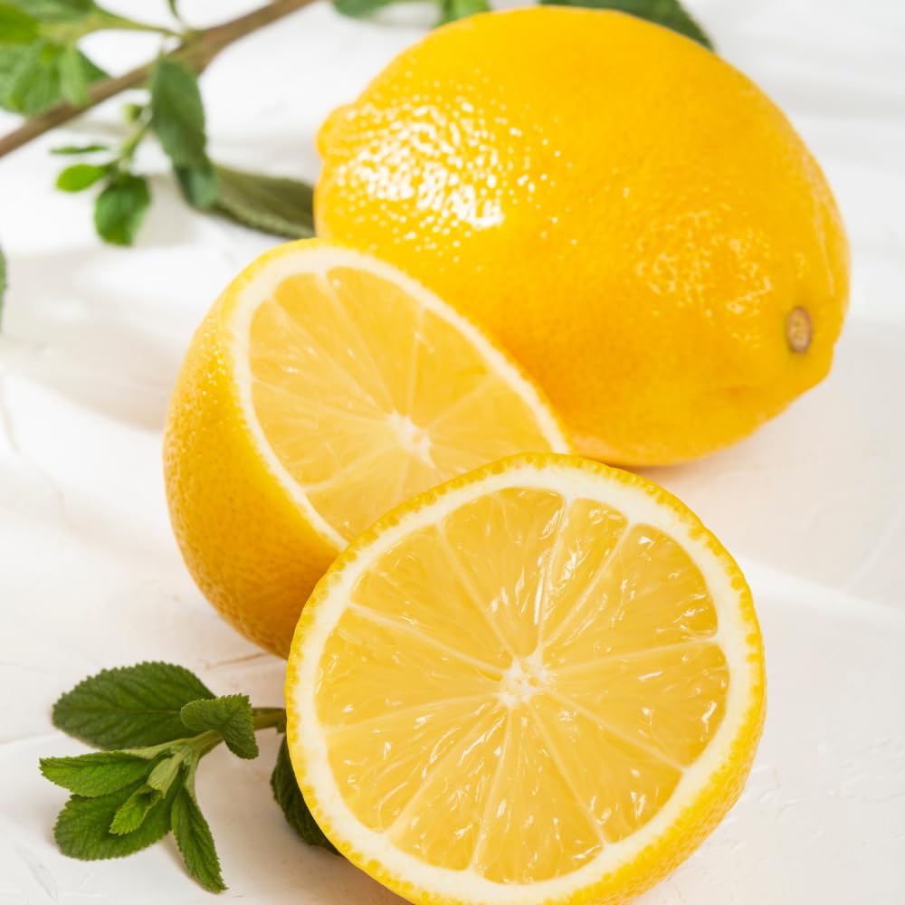 Improved Meyer Lemon Plant Live Nimbu Tree Kagzi Lemon Citrus Limon Fruit Plant