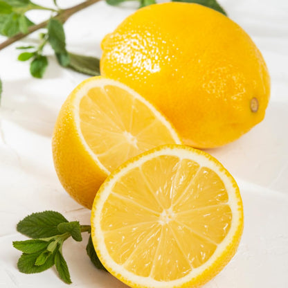 Improved Meyer Lemon Plant Live Nimbu Tree Kagzi Lemon Citrus Limon Fruit Plant