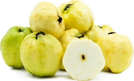 Indonesian Seedless Guava Air Layered Healthy Fruit Plant
