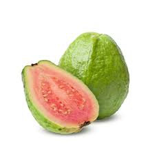 Iran Pink Guava Air Layered Healthy Fruit Plant