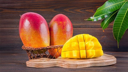 Irwin Mango Aam Grafted Healthy Fruit Plant