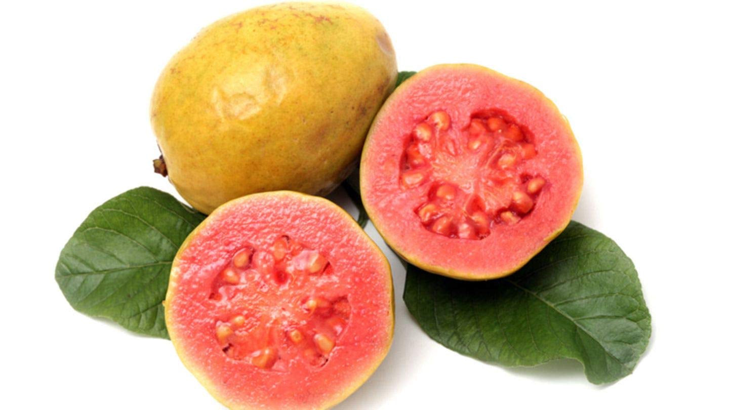 Israeli Pink Guava Air Layered Healthy Fruit Plant