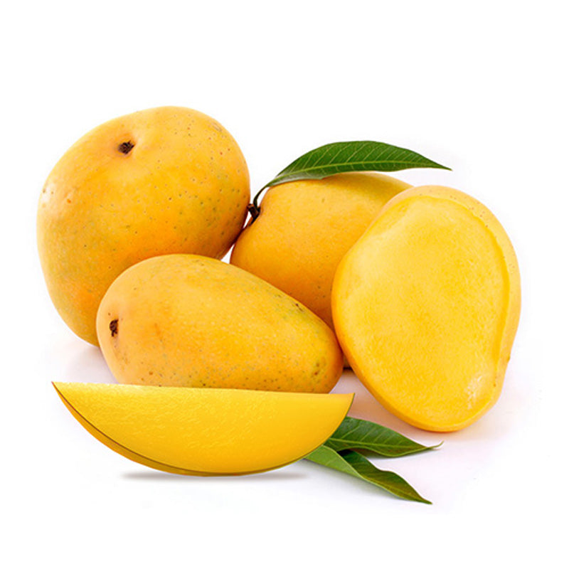 Jardalu (Zardalu) Mango Aam Grafted Healthy Fruit Plant