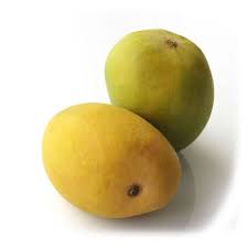 Jardalu (Zardalu) Mango Aam Grafted Healthy Fruit Plant