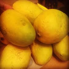 Jean Ellen Mango Aam Grafted Healthy Fruit Plant
