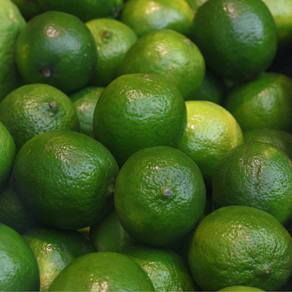 Kabosu Lemon Plant Live Nimbu Tree Kagzi Lemon Citrus Limon Fruit Plant