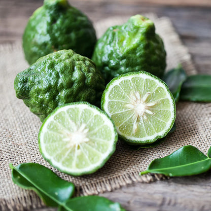 Kaffir Lime (Makrut Lime) Plant Live Nimbu Tree Kagzi Lemon Citrus Limon Fruit Plant