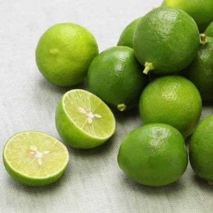 Kagzi Nimbu Plant Live Nimbu Tree Kagzi Lemon Citrus Limon Fruit Plant
