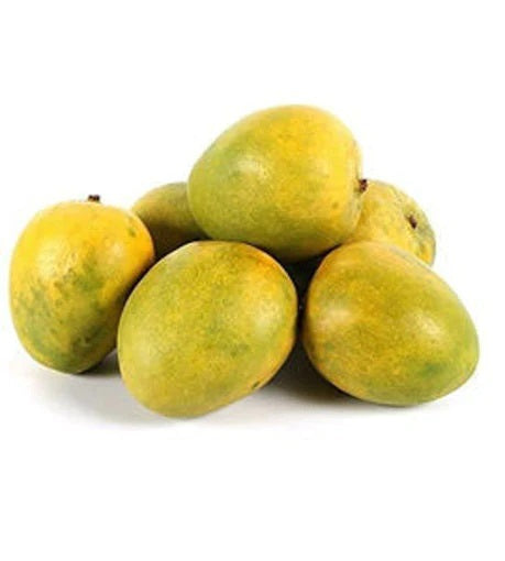 Kalepad Mango Aam Grafted Healthy Fruit Plant
