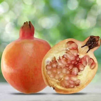 Kamel Pomegranate Grafted Fruit Plant – High Yielding Sweet Juicy Anar Tree Variety