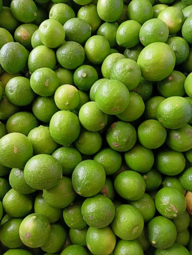 Karnataka Local Lemon Plant Live Nimbu Tree Kagzi Lemon Citrus Limon Fruit Plant
