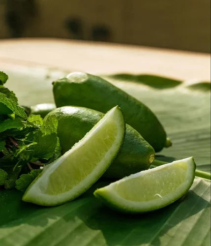 Kazi Nemu Plant Live Nimbu Tree Kagzi Lemon Citrus Limon Fruit Plant