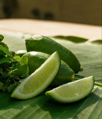 Kazi Nemu Plant Live Nimbu Tree Kagzi Lemon Citrus Limon Fruit Plant