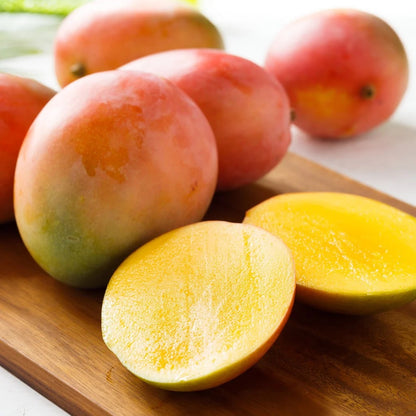 Kensington Pride Mango Aam Grafted Healthy Fruit Plant