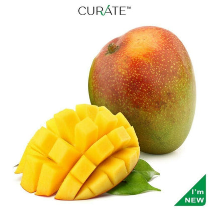 Kent Mango Aam Grafted Healthy Fruit Plant