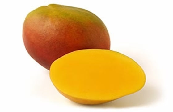 Kent Mango Aam Grafted Healthy Fruit Plant
