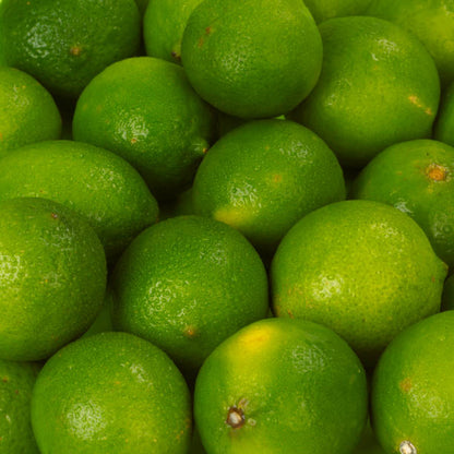 Key Lime (Mexican Lime) Plant Live Nimbu Tree Kagzi Lemon Citrus Limon Fruit Plant